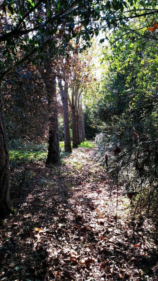 Kastellren - Rennes - Grand Parking Prive Bed and Breakfast Εξωτερικό φωτογραφία